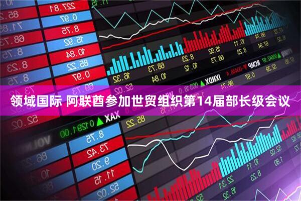 领域国际 阿联酋参加世贸组织第14届部长级会议
