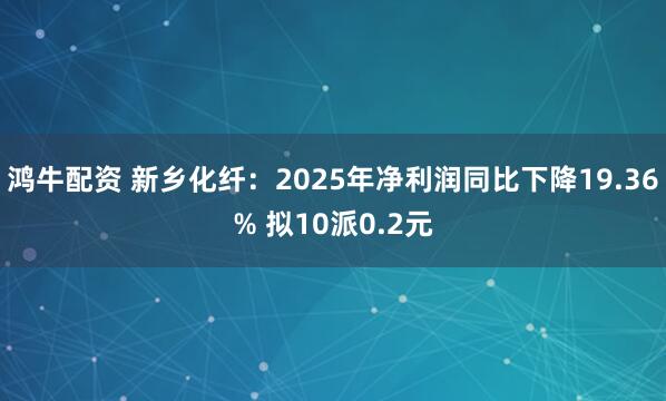鸿牛配资 新乡化纤：2025年净利润同比下降19.36% 拟10派0.2元