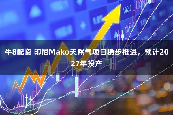 牛8配资 印尼Mako天然气项目稳步推进，预计2027年投产