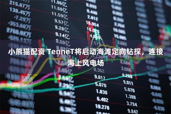 小熊猫配资 TenneT将启动海滩定向钻探，连接海上风电场