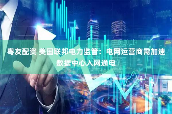 粤友配资 美国联邦电力监管：电网运营商需加速数据中心入网通电