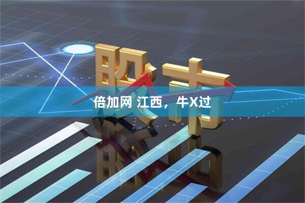 倍加网 江西，牛X过