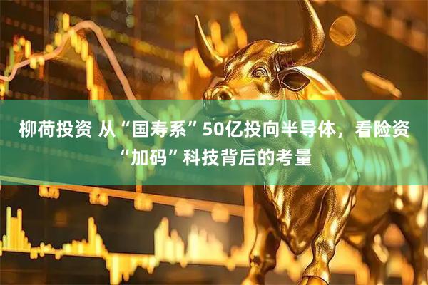 柳荷投资 从“国寿系”50亿投向半导体，看险资“加码”科技背后的考量