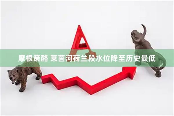 摩根策酪 莱茵河荷兰段水位降至历史最低